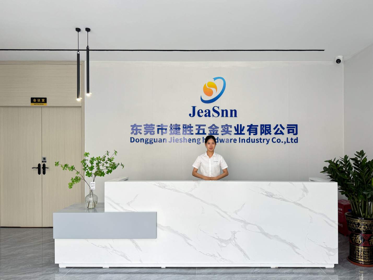 JsaSnn