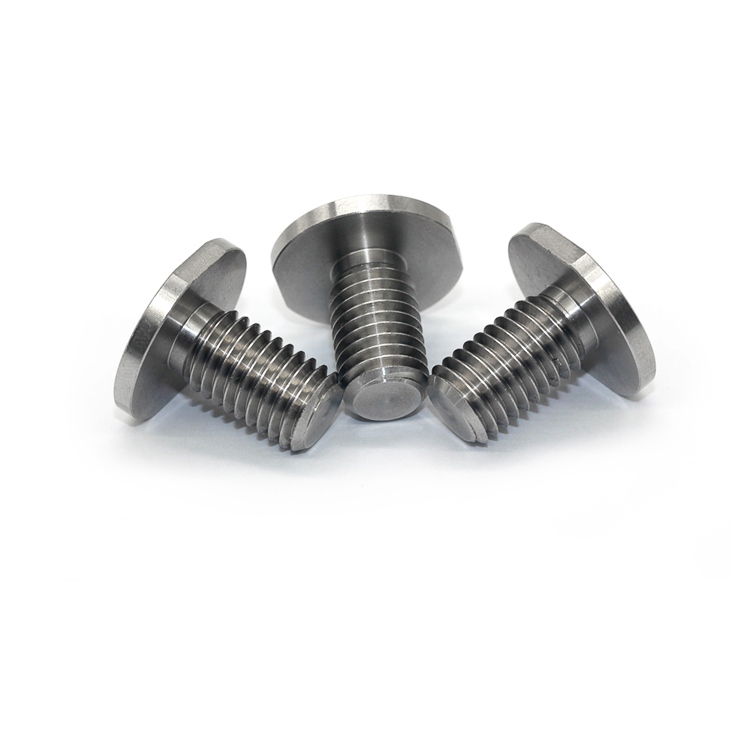 Stainless Steel Screws